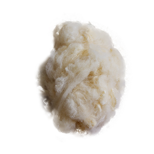 棉紡等滌綸短纖維廠家紛紛設法降低生產成本